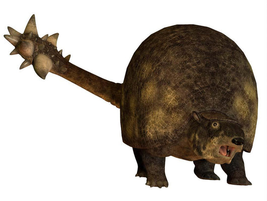 Glyptodont Is Large Mammal Wall Decal