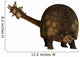 Glyptodont Is Large Mammal Wall Decal