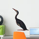 Hesperornis Is Flightless Bird Wall Decal