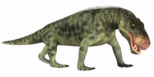 Inostrancevia Is Carnivorous Reptile Wall Decal