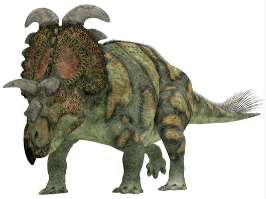 Albertaceratops Dinosaur Wall Decal