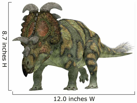 Albertaceratops Dinosaur Wall Decal