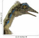 Archaeopteryx Is Carnivorous Bird Wall Decal