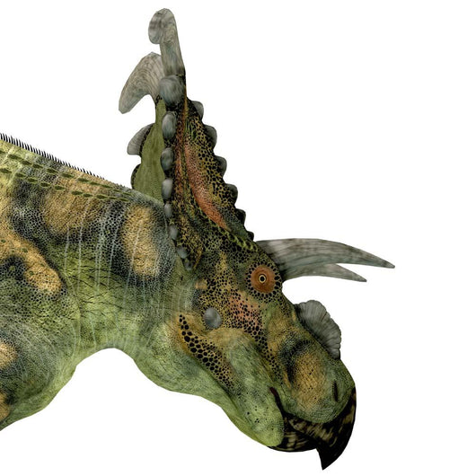 Albertaceratops Dinosaur Head Wall Decal