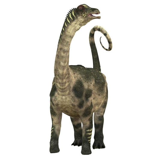 Antarctosaurus Dinosaur Wall Decal Design 2