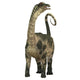 Antarctosaurus Dinosaur Wall Decal Design 2