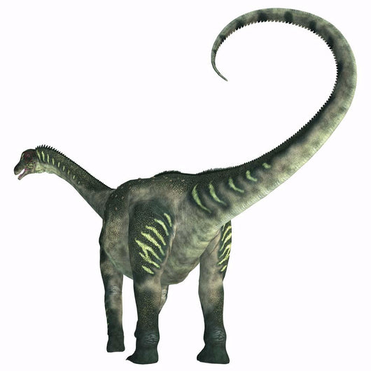 Antarctosaurus Dinosaur Wall Decal Design 1