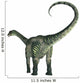 Antarctosaurus Dinosaur Wall Decal Design 1