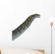 Argentinosaurus Dinosaur Head Wall Decal