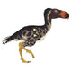 Kelenken Terror Bird Argentina Wall Decal