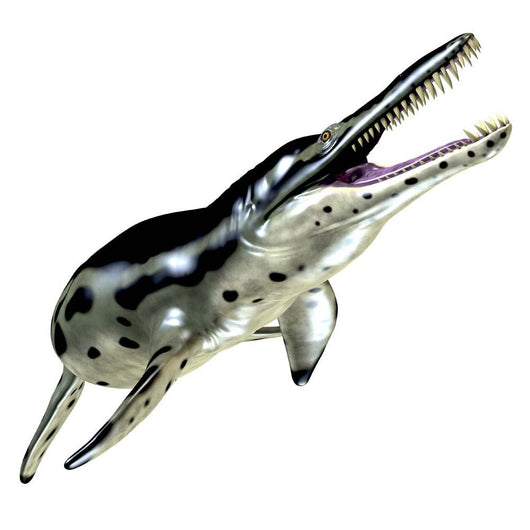 Kronosaurus Is Large Pliosaur Wall Decal