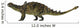 Euoplocephalus Armored Dinosaur Wall Decal