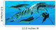 Dolichorhynchops Plesiosaurs Try to Wall Decal