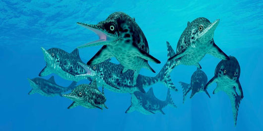 Group Ichthyosaurs Swimming Prehistoric Wall Decal