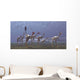 Herd Mononykus Followed Flock Wall Decal
