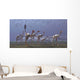Herd Mononykus Followed Flock Wall Decal