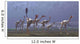 Herd Mononykus Followed Flock Wall Decal