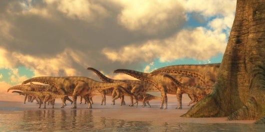 Herd Spinosphorosaurus Wall Decal