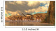 Herd Spinosphorosaurus Wall Decal