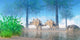 Pair Stegosaurus Walking near Wall Decal