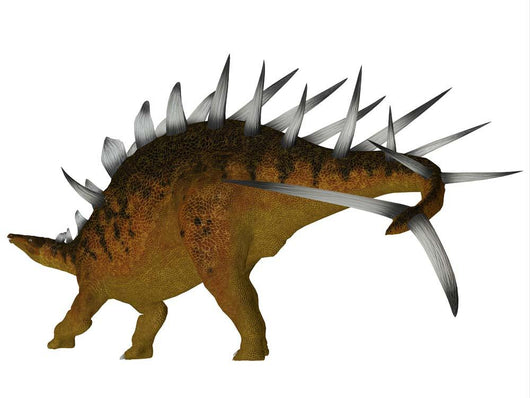 Kentrosaurus Dinosaur Wall Decal Design 3
