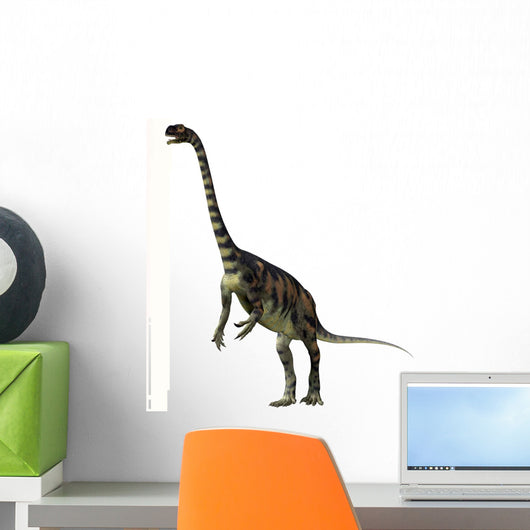 Massospondylus Dinosaur Wall Decal Design 1