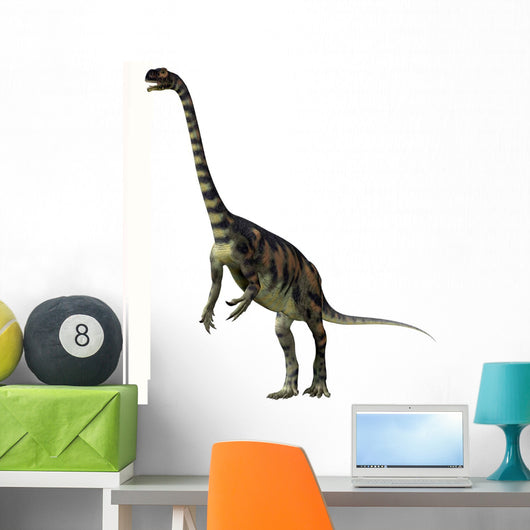 Massospondylus Dinosaur Wall Decal Design 1