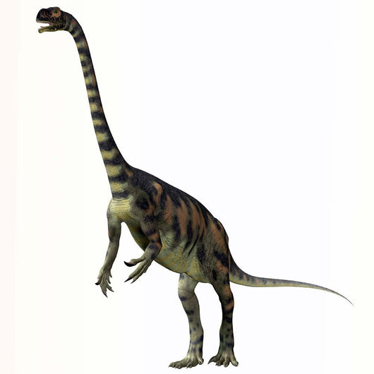 Massospondylus Dinosaur Wall Decal Design 1