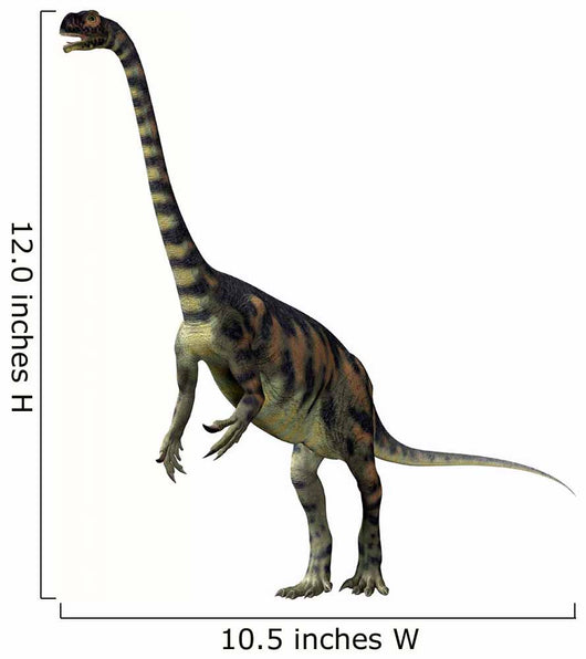 Massospondylus Dinosaur Wall Decal Design 1