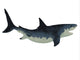 Megalodon Shark Wall Decal