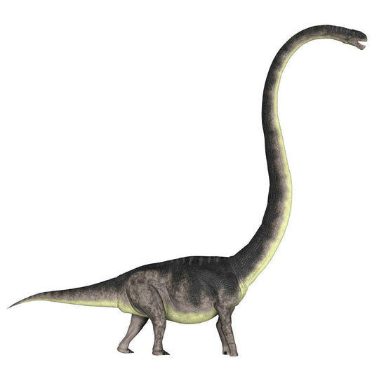 Omeisaurus Dinosaur Wall Decal
