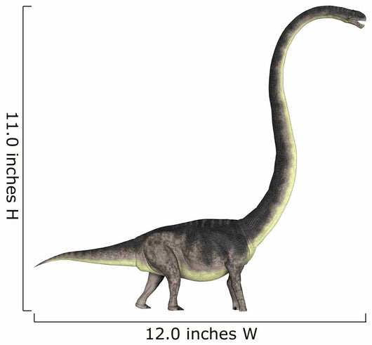 Omeisaurus Dinosaur Wall Decal
