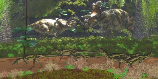 Two Large Albertaceratops Dinosaurs Wall Decal