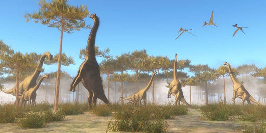 Brachiosaurus Herd Grazing Treetops Wall Decal