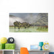Pair Gigantspinosaurus Dinosaurs Roaming Wall Decal