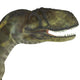 Abelisaurus Portrait Wall Decal