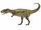 Abelisaurus Dinosaur White Wall Decal Design 2