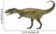Abelisaurus Dinosaur White Wall Decal Design 2