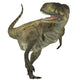 Abelisaurus Dinosaur White Wall Decal Design 1