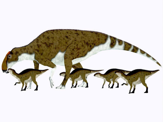 Brachylophosaurus with Offspring Wall Decal Design 1