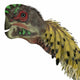 Citipati Dinosaur Head Wall Decal