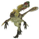 Citipati Dinosaur White Wall Decal Design 2