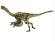Citipati Dinosaur White Wall Decal Design 1