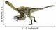 Citipati Dinosaur White Wall Decal Design 1