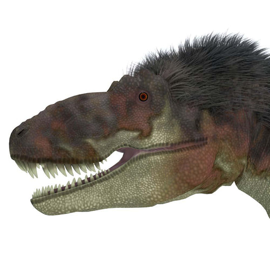 Daspletosaurus Dinosaur Head Wall Decal