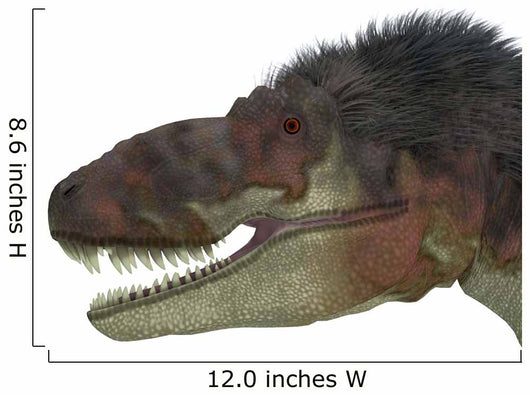 Daspletosaurus Dinosaur Head Wall Decal