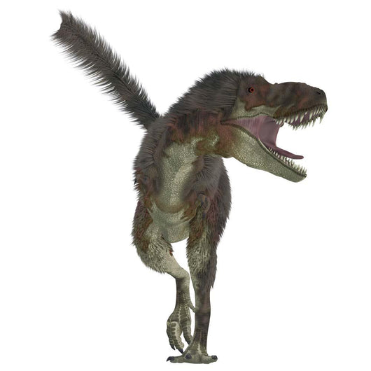 Daspletosaurus Dinosaur White Wall Decal Design 2