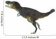 Daspletosaurus Dinosaur White Wall Decal Design 1