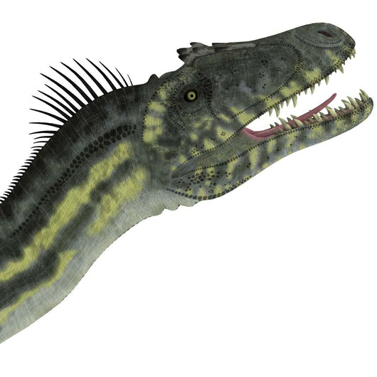 Deltadromeus Dinosaur Head Wall Decal