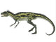 Deltadromeus Dinosaur White Wall Decal Design 1